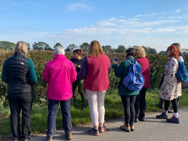 Herb Walk